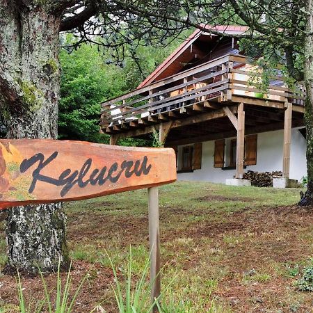 Chalet Kylucru 6 Personnes Classe 2 Etoiles Villa Xonrupt-Longemer Ngoại thất bức ảnh
